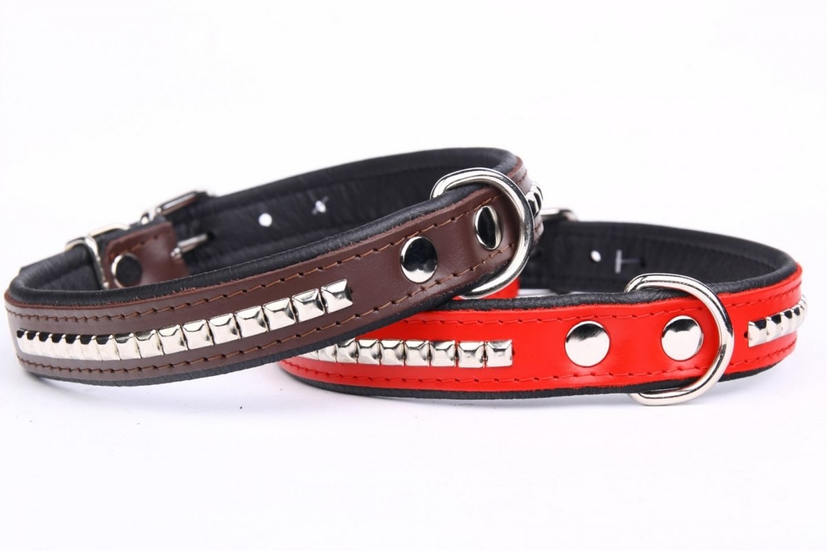 dr Seidla ZOO LESZCZ (PL) Soldina Dla Psa Skóra Naturalna Z Kostkami 20 mm / 45 cm ZL0178/1 ZOO LESZCZ (PL)