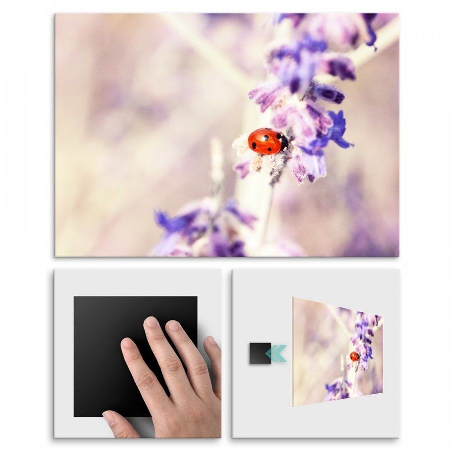 Pix4home Plakat metalowy biedronka na fioletowych kwiatach M POS-M-01822
