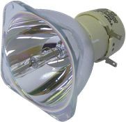Philips Lampa do UHP 190/160W 0.9 E20.9 IC - oryginalna lampa bez modułu UHP 190-160W 0.9 E20.9 IC