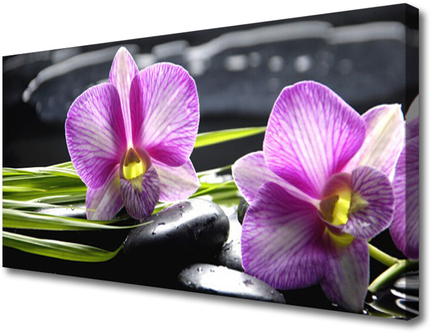PL Tulup Obraz Canvas Storczyk Kamienie Zen Spa 120x60cm