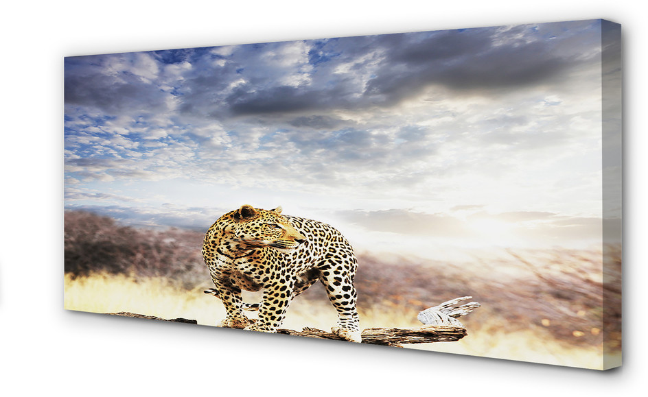 PL Tulup Obrazy na płótnie Pantera chmury 125x50cm
