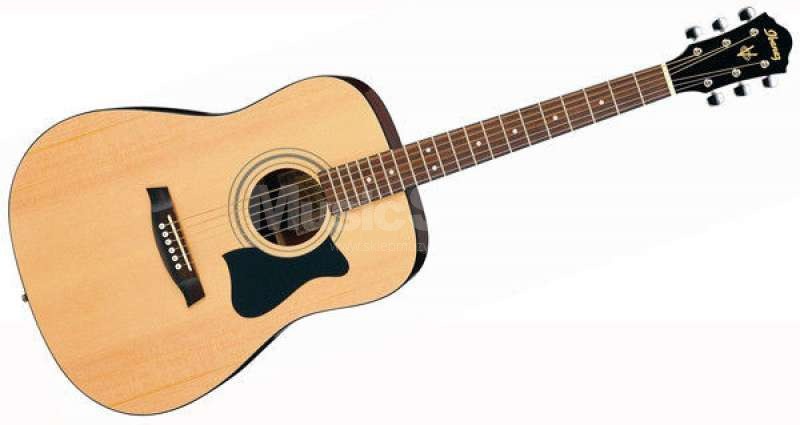 Ibanez V50NLJP-NT