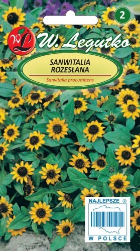 Legutko Sanwitalia rozesłana 5903837310005
