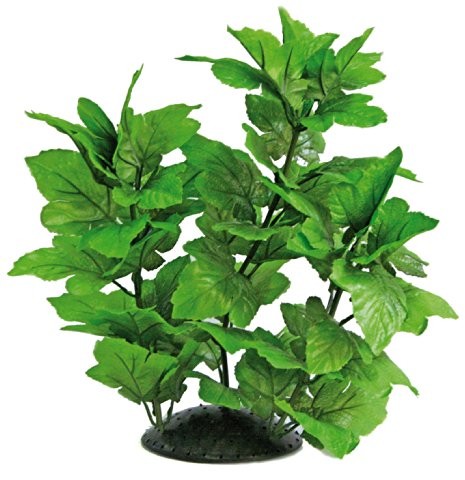 Wave a8011403 Plant Replica Hygro, 30 cm
