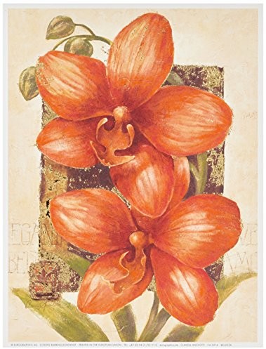 Eurographics ca2216 Claudia Ancilotti, bellezza 18 x 24 cm, wysokiej jakości druk artystyczny  martwa natura CA2216