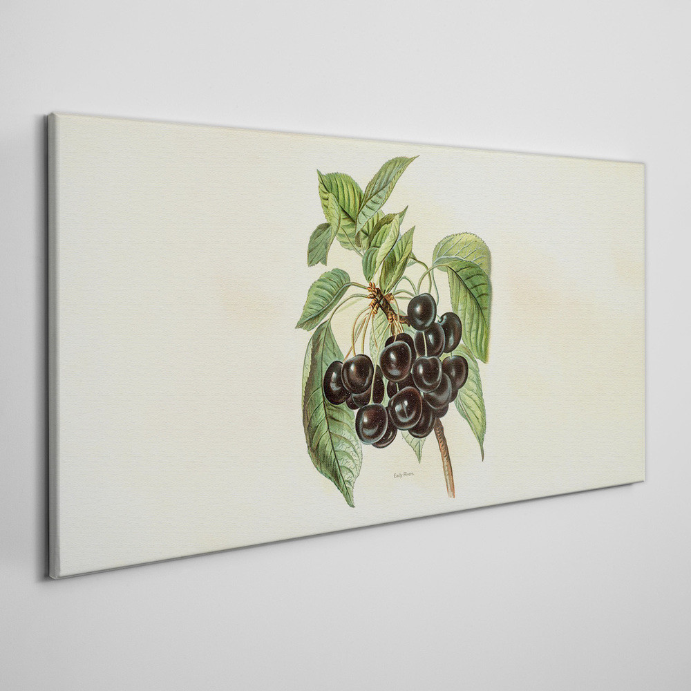 PL Coloray Obraz na Płótnie Winogrona Liście Gałąź 100x50cm