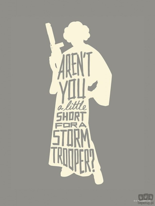 Komar Obraz Star Wars Silhouette Quotes Leia WB-SW-019 WB-SW-019_opcje