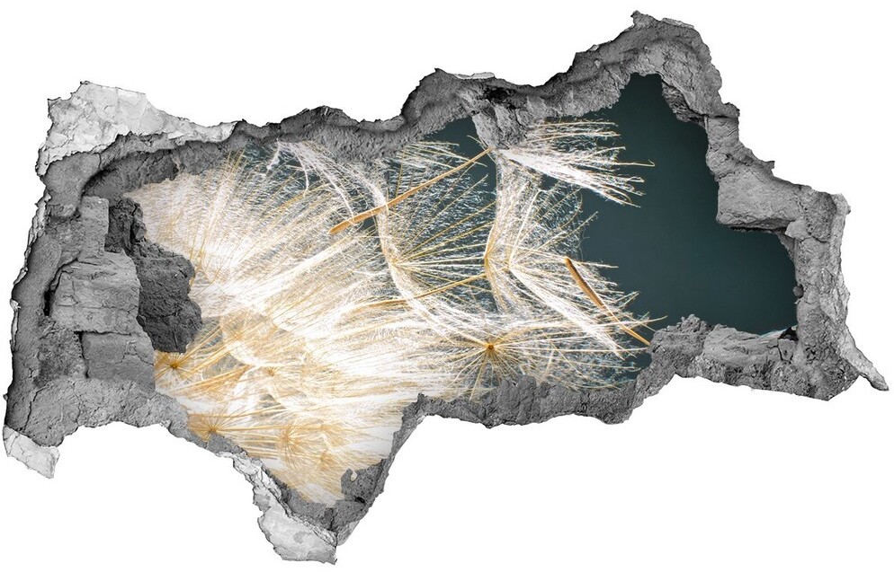 Wallmuralia.pl Samoprzylepna naklejka Nasiona dmuchawca