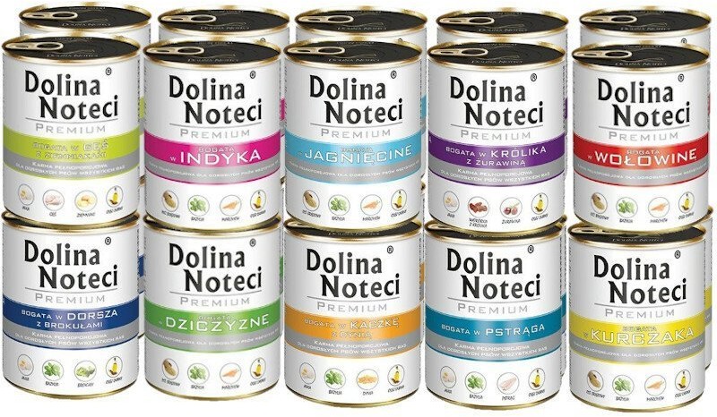 Dolina Noteci Premium MIX smaków 20x800g