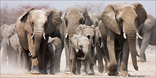 Pro-Art-Bilderpalette Pro-Art g1861h obraz ścienny Giclee 