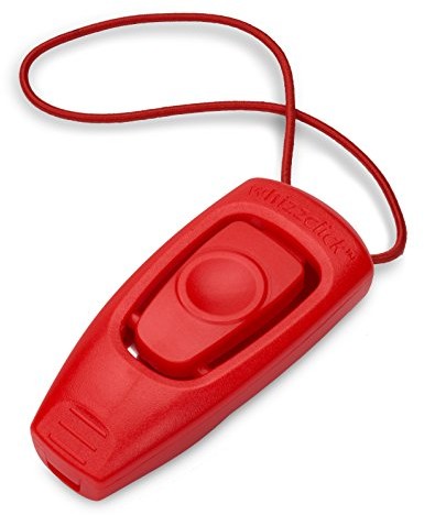 Clix whizzc Lick