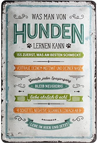 Art Nostalgic PfotenSchild 22274 blaszana tabliczka ozdobna z napisem Was man von Hunden lernen kann, 20 x 30 cm (produkt może nie być dostępny w języku polskim) 22274
