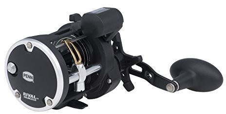 Penn Rival Level Wind 20 LW LC LH linkshand multiplikator prowadnica sznura 1403999