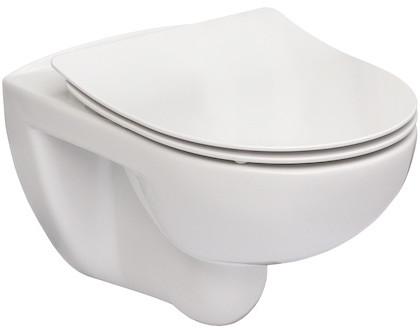 Roca Victoria 54x37 cm A34H398000