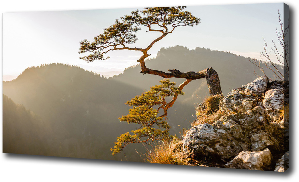 Foto obraz na płótnie Sokolica Pieniny