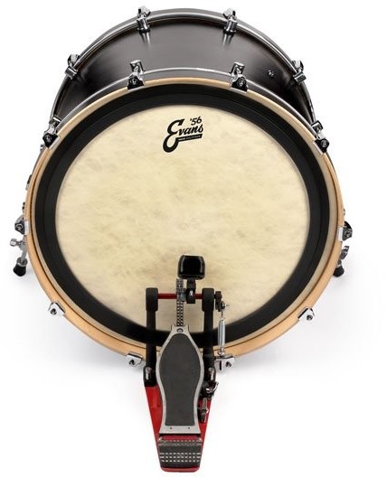 Evans evans bd18em adct Bass Drum sierść BD18EMADCT