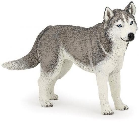 Papo Figurka pies Siberian Husky - 54035
