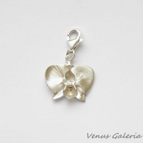 Charm - Biała orchidea 681
