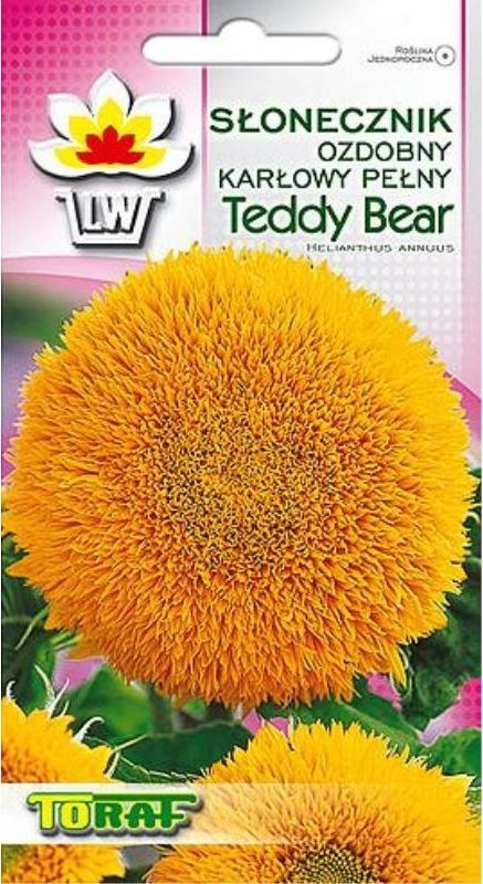 Toraf KWIATY Słonecznik Teddy Bear nasiona 2g 00474