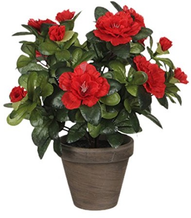 MICA Decorations Dekoracje Mica 950332 kwiat, azalea, czerwony 950332