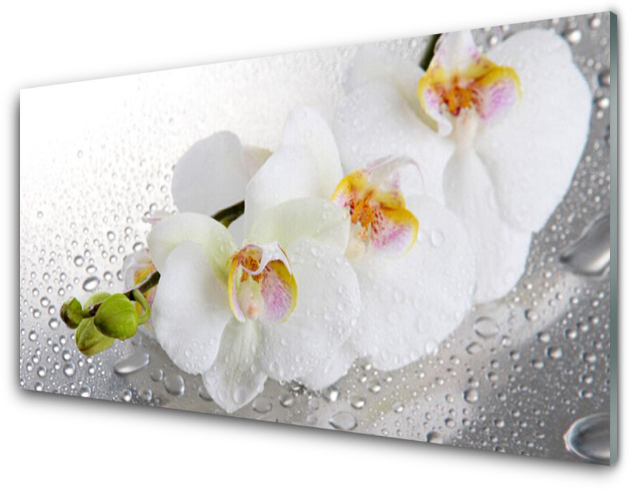 Tulup.pl Panel Szklany Kwiaty Roślina Natura 125x50cm