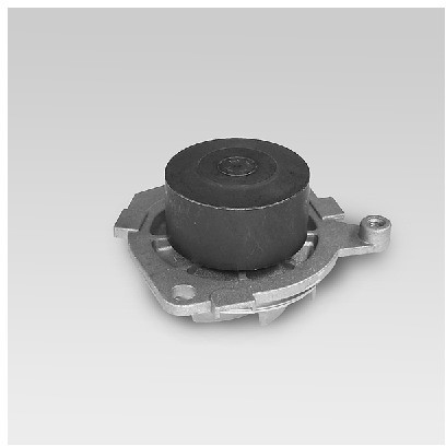 HEPU Pompa wodna P1045