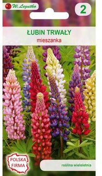 Legutko Łubin trwały ogrodowy MIESZANKA