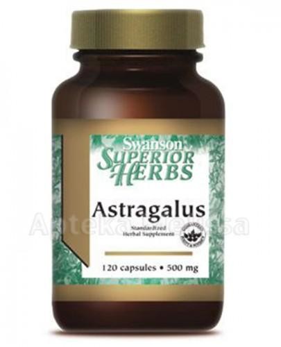 SWANSON Astragalus standaryzowany 120 kaps