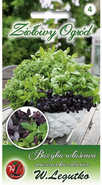 Legutko Bazylia właściwa MIESZANKA ODMIAN