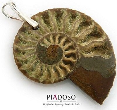 Arande Oryginalny Amonit Piękny Wisiorek Srebro 2109294539