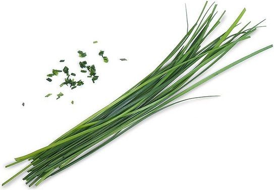 Veritable Wkład nasienny Lingot Smaki Azji czosnek bulwiasty organiczny VLIN-S10-Cib02F