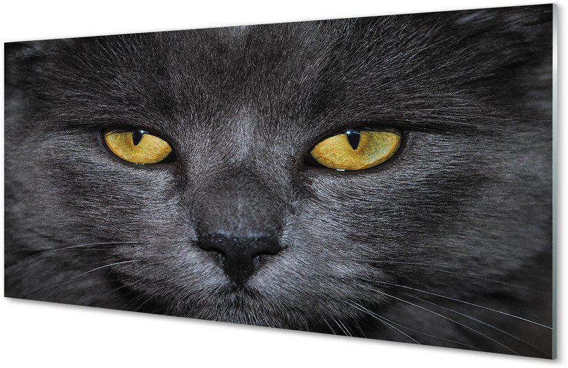 Tulup.pl Panel Szklany Czarny kot 140x70cm