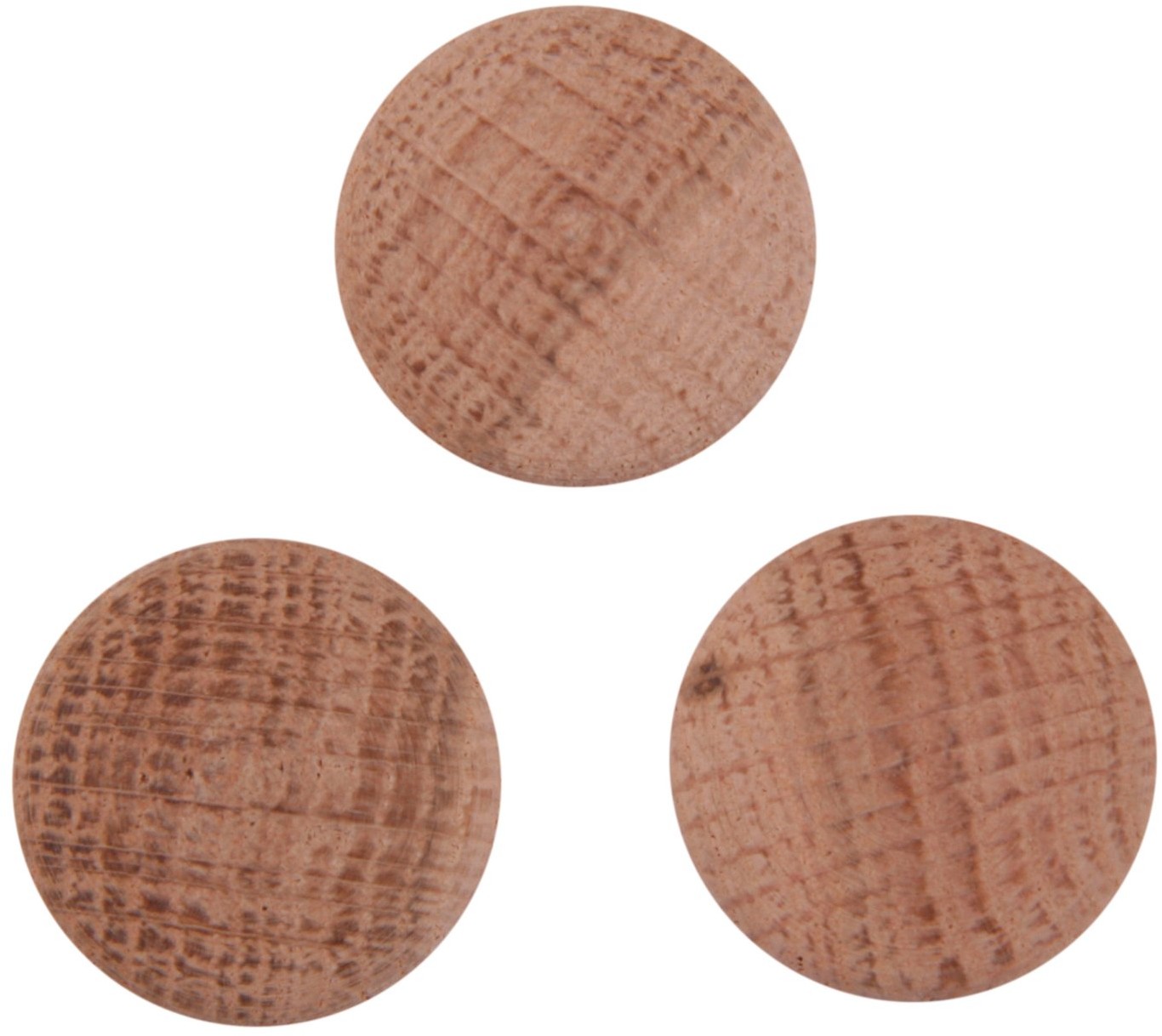 Kornik Kapsle maskujące dąb śr. 20 mm