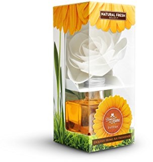 NATURAL FRESH Natural Fresh Bloom AT HOME esoteria 100 ML Sola-kwiaty, Flower Diffuser, luftefrischer, dekoracyjna, prezent, szkło, pomarańczowa, 5,5 x 5,5 x 13 cm L-BH100-ES