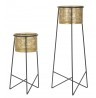 Zdjęcia - Doniczka FURNLUX stolik boczny Exy Gold 37cm / Kolor główny: złoty / Wymiary: 37 x 76 x 37 cm(2 szt.)