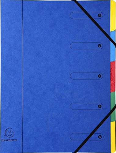 Exacompta Harmonijka trieur fenetres imprimees Nature Future Carte lustree 5 comparti ochronie 5205E