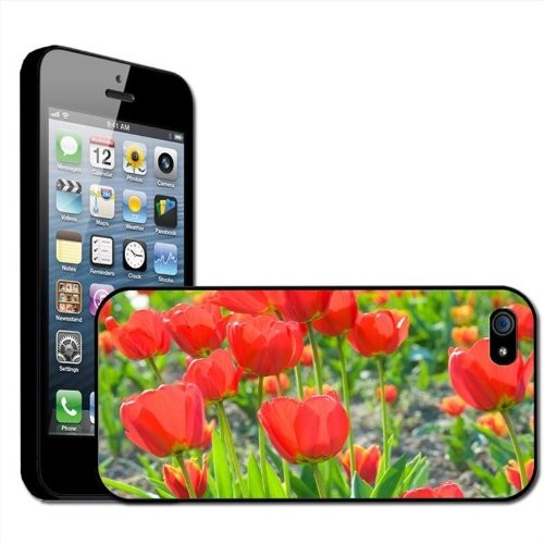 Fancy A Snuggle Czerwony tulipan galore klips na tylnej okładce twarde etui do Apple iPhone 5 SHL-IP5-BK-230_B