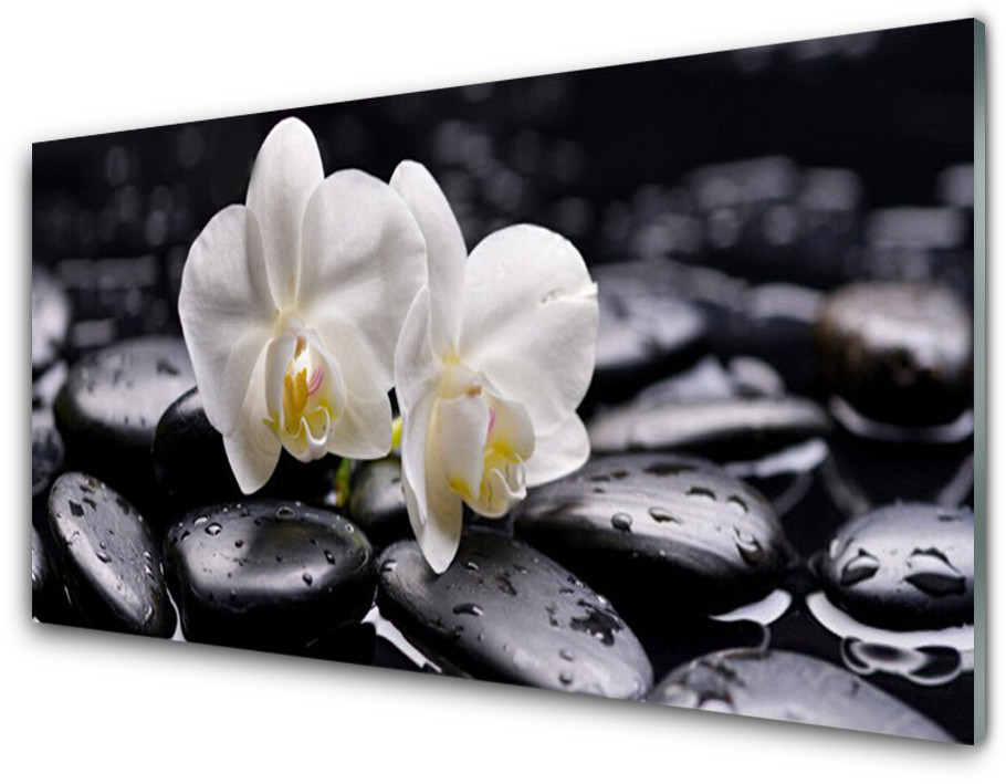 Tulup.pl Panel Szklany Zen Biały Storczyk Spa 100x50cm