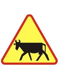 Znak ostrzegawczy A-18A Zwierzęta gospodarskie