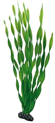 Hobby Vallisneria sztuczna roślina do akwariów, 46 cm