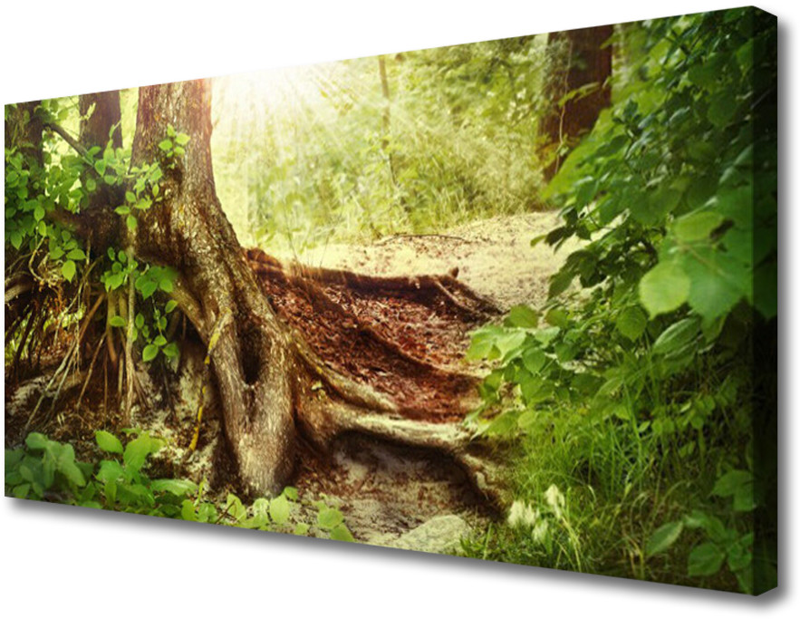 PL Tulup Obraz Canvas Drzewo Pień Natura Las 100x50cm