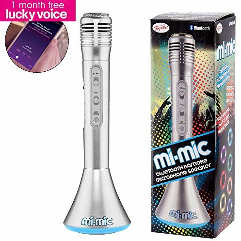 Mi-Mic Mi-Mic TY5899SV głośnik mikrofonowy Karaoke z bezprzewodowym Bluetooth i światłami LED, srebrny TY5899SV