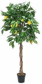 Europalms Europalms Lemon Tree, 150cm, Sztuczna roślina 82507815