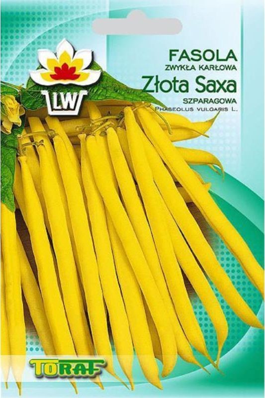 Toraf Fasola Złota Saxa nasiona warzywa 50g 00092