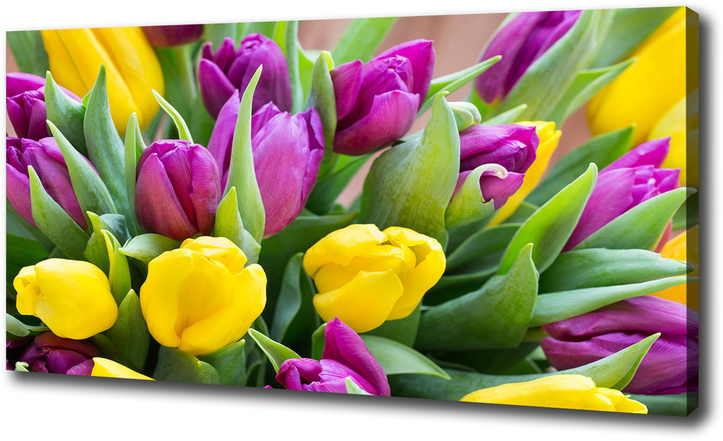 Foto obraz na płótnie Kolorowe tulipany