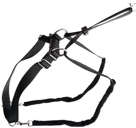 Kerbl KERBL uprząż dla psa Maxi Leader, 25 - 30 cm