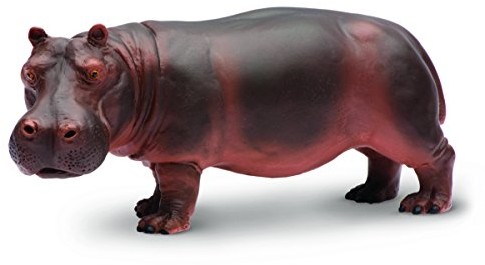 Safari 2704-29 - hipopotam