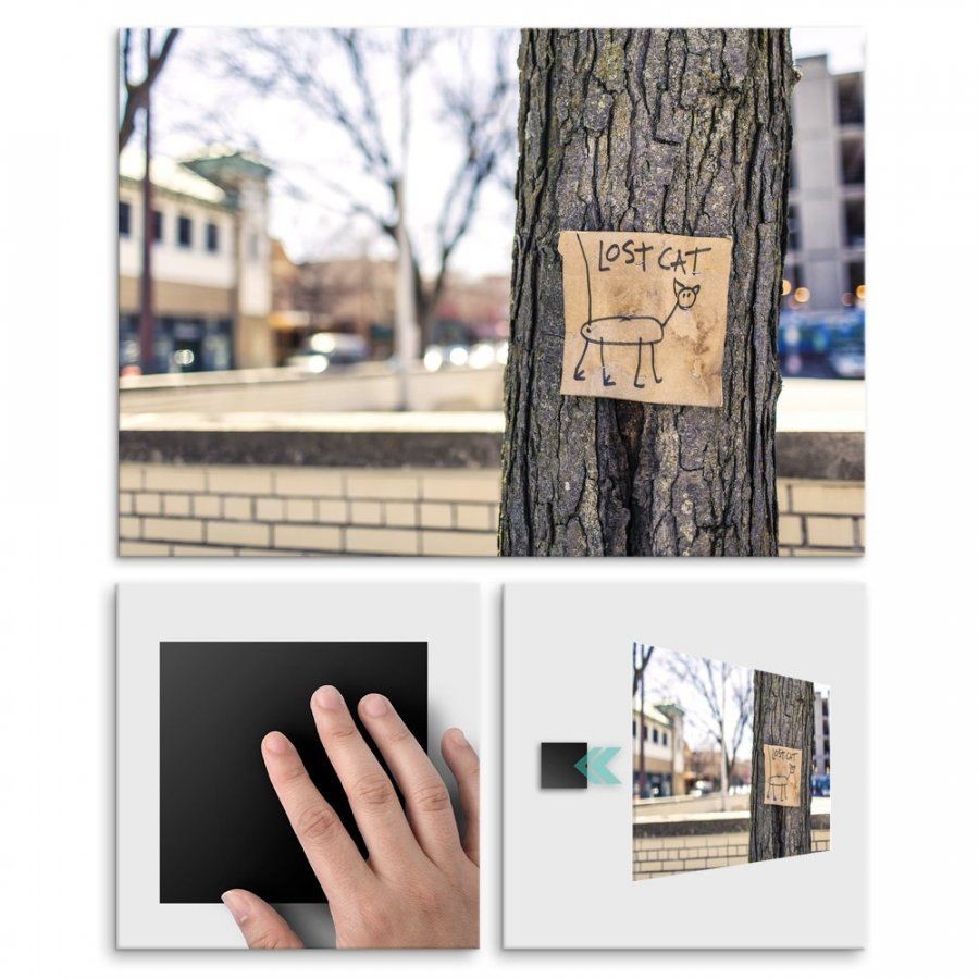 Pix4home Plakat metalowy zaginiony kot L POS-L-00230