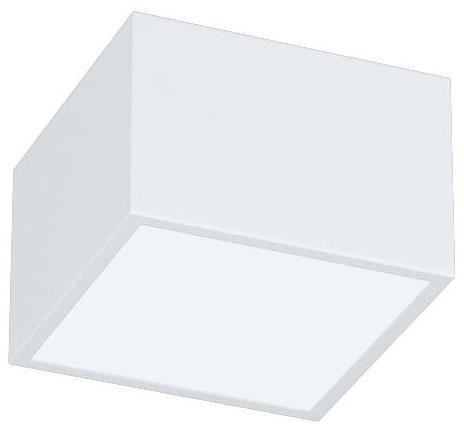 Immax Neo Immax NEO 07072L-15 - LED Ściemnialne światło CANTO LED/12W/230V białe
