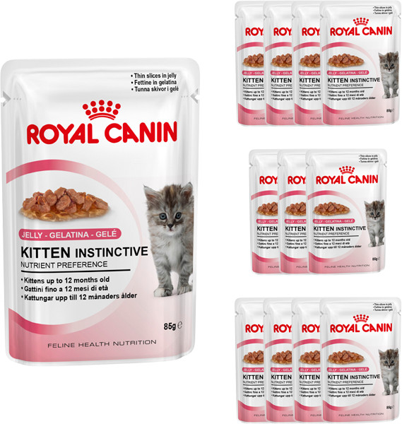 Royal Canin Kitten Instinctive Feline w galaretce 85g KROY236_PAK12